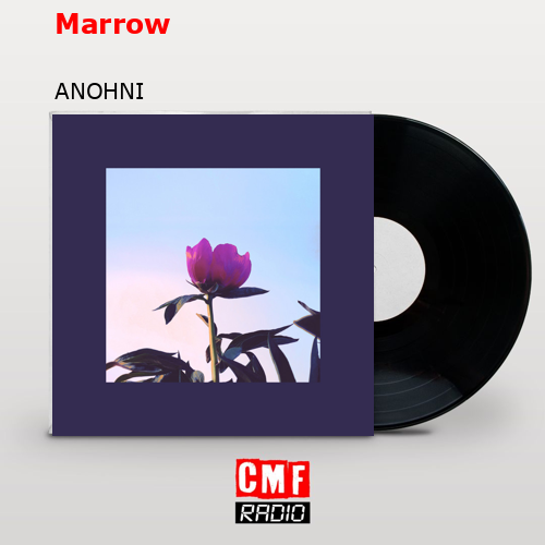 Marrow – ANOHNI