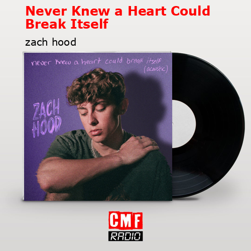 Never Knew a Heart Could Break Itself – zach hood