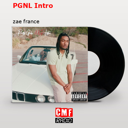 final cover PGNL Intro zae france