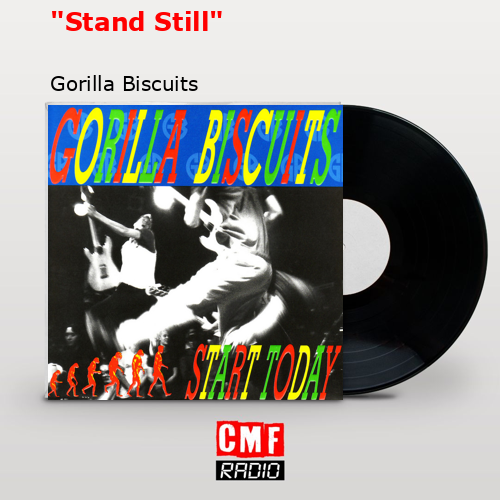 La historia y el significado de la canción '"Stand Still" Gorilla