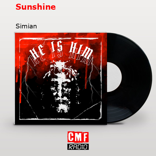 final cover Sunshine Simian