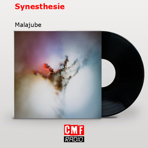 final cover Synesthesie Malajube