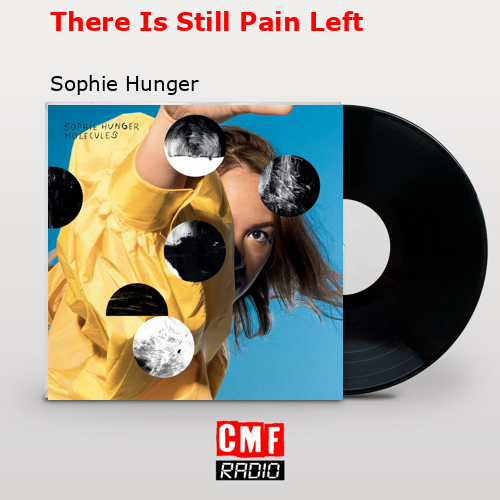 There Is Still Pain Left – Sophie Hunger