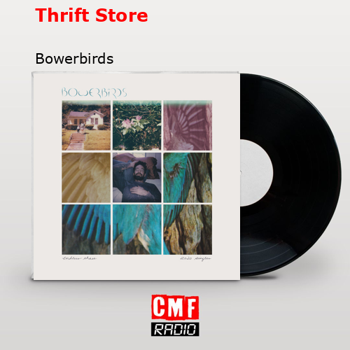 Thrift Store – Bowerbirds