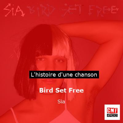 Bird Set Free – Sia