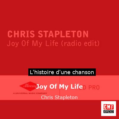 Joy Of My Life – Chris Stapleton