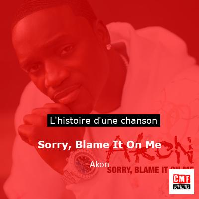 Sorry, Blame It On Me – Akon