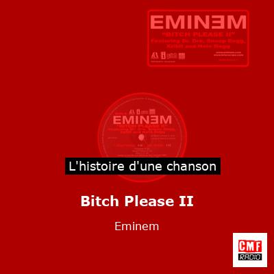 Bitch Please II - Eminem