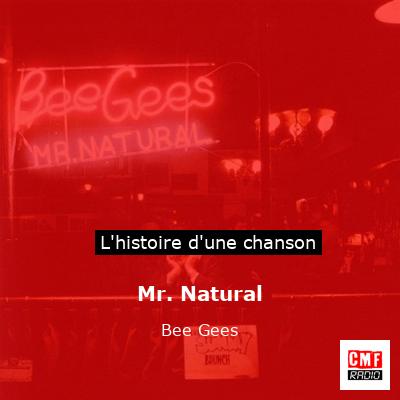 Mr. Natural – Bee Gees