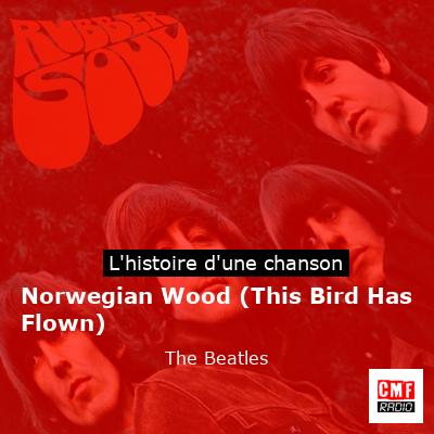 Norwegian Wood (This Bird Has Flown)   – The Beatles