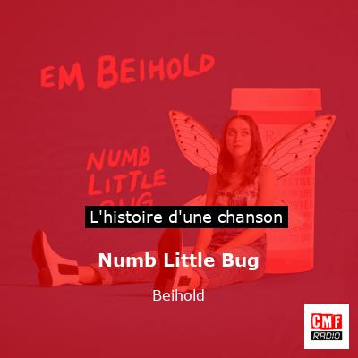 Numb Little Bug - Beihold