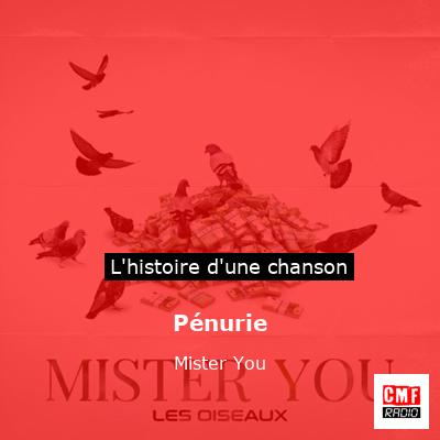 Pénurie – Mister You