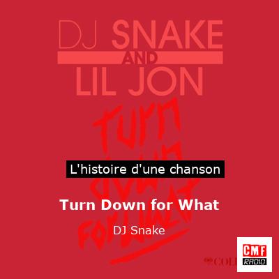 Turn Down for What - DJ Snake