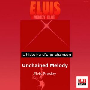Unchained Melody  - Elvis Presley