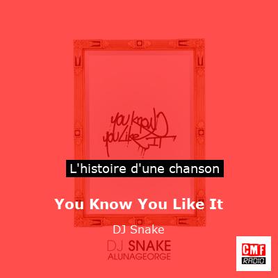 You Know You Like It - DJ Snake
