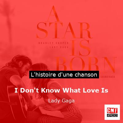 Histoire d'une chanson I Don't Know What Love Is - Lady Gaga