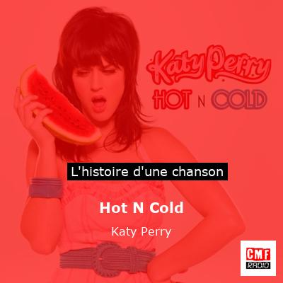 Histoire d'une chanson Hot N Cold - Katy Perry