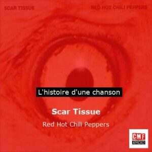Histoire d'une chanson Scar Tissue - Red Hot Chili Peppers
