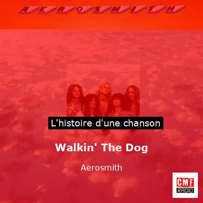 Walkin’ The Dog – Aerosmith