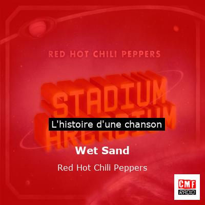 Histoire d'une chanson Wet Sand - Red Hot Chili Peppers