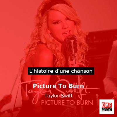 Picture To Burn - Taylor Swift