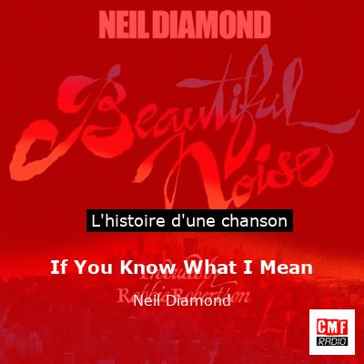 Histoire d'une chanson If You Know What I Mean - Neil Diamond