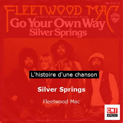 Silver Springs – Fleetwood Mac