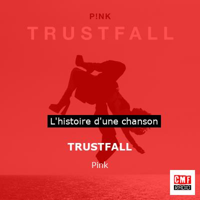 Histoire d'une chanson TRUSTFALL - Pink
