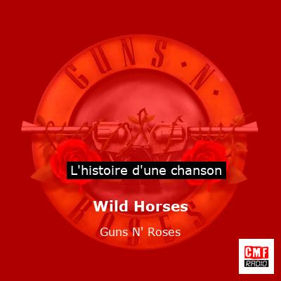 Histoire d'une chanson Wild Horses  - Guns N' Roses