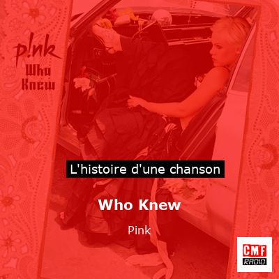 Histoire d'une chanson Who Knew - Pink