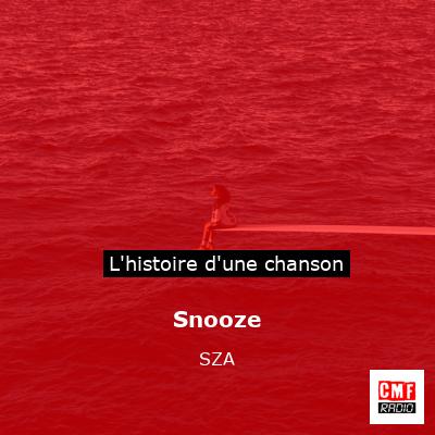 Histoire d'une chanson Snooze - SZA