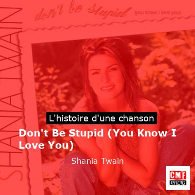 Don’t Be Stupid (You Know I Love You) – Shania Twain
