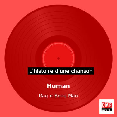 Histoire d'une chanson Human - Rag n Bone Man