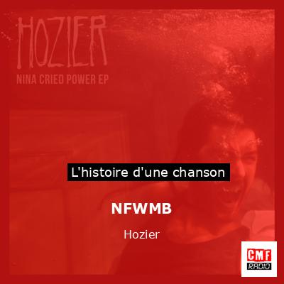 Histoire d'une chanson NFWMB - Hozier