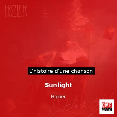 Histoire d'une chanson Sunlight - Hozier