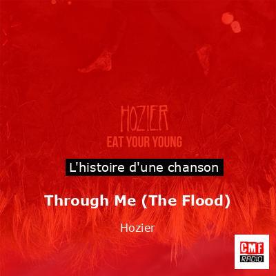 Histoire d'une chanson Through Me (The Flood) - Hozier