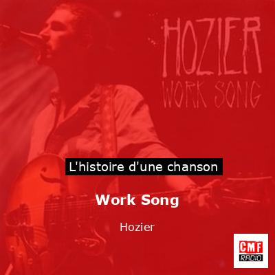Histoire d'une chanson Work Song - Hozier
