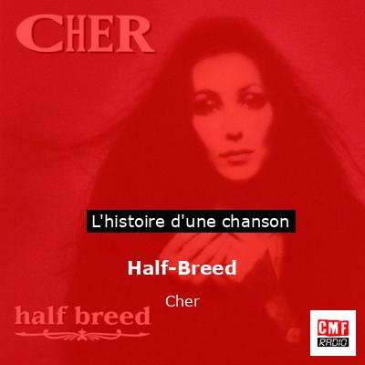 Histoire d'une chanson Half-Breed - Cher