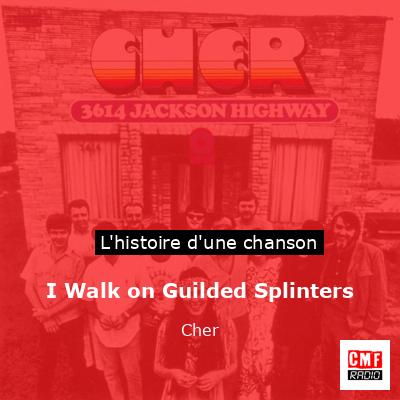 Histoire d'une chanson I Walk on Guilded Splinters - Cher