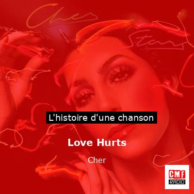 Love Hurts – Cher