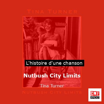Histoire d'une chanson Nutbush City Limits - Tina Turner