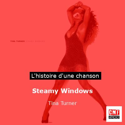 Histoire d'une chanson Steamy Windows - Tina Turner
