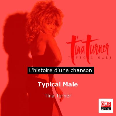 Histoire d'une chanson Typical Male - Tina Turner