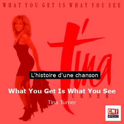 Histoire d'une chanson What You Get Is What You See - Tina Turner