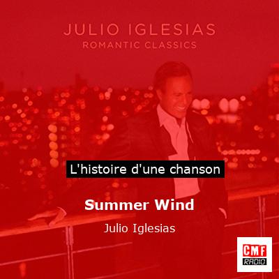 Histoire d'une chanson Summer Wind - Julio Iglesias