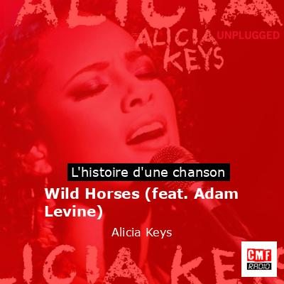 Histoire d'une chanson Wild Horses (feat. Adam Levine)  - Alicia Keys