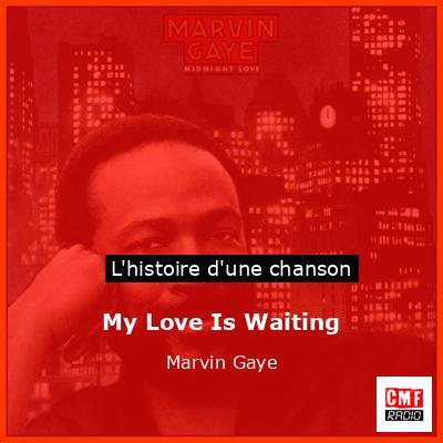 Histoire d'une chanson My Love Is Waiting - Marvin Gaye
