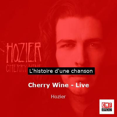 Histoire d'une chanson Cherry Wine - Live - Hozier