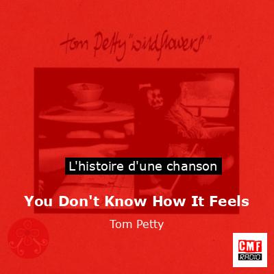 You Don’t Know How It Feels – Tom Petty