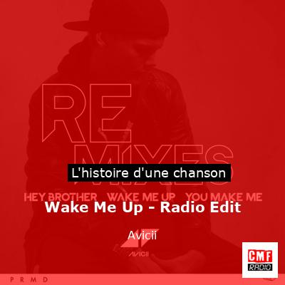 Histoire d'une chanson Wake Me Up - Radio Edit - Avicii
